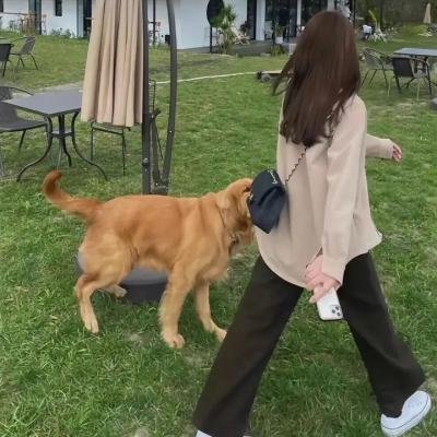 黑客军团第三季